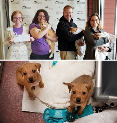 "Asheville Humane Society foster program manager Evie Schenkel, left, and Mallory Uzel (holding Wilson the cat) accept a donation check from Four Seasons Plumbing owners Max and Rachel Rose (holding puppies Flamingo and Blue Jay). The local plumbing business donated more than $4,900 collected from dispatch fees to the local foster program to help provide care for the many animals need of adoption."