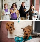 Plumbing service donates $4,984 to help needy puppies and kittens in Asheville foster program