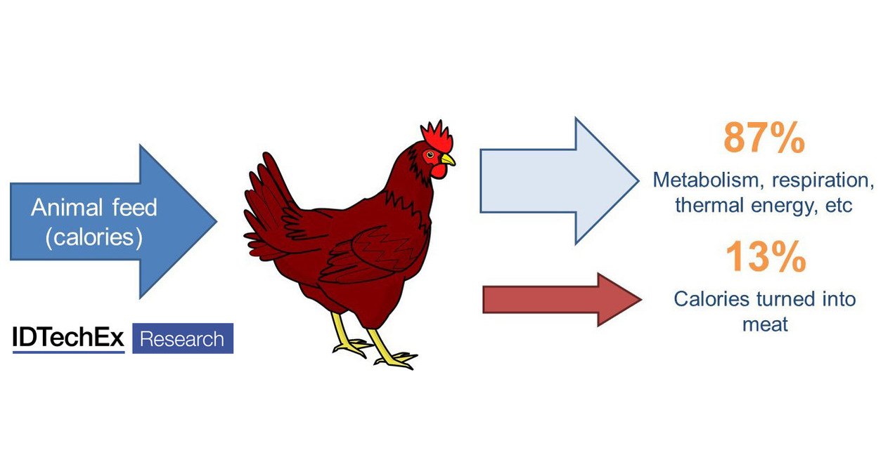 IDTechEx Research The Meat Industry Is Unsustainable