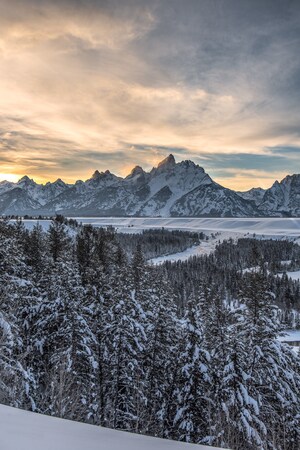 The Jackson Hole Travel and Tourism Board requests that destination visitors stay home