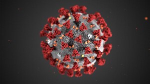 The Harvard Wyss Institute's response to COVID-19: beating back the coronavirus