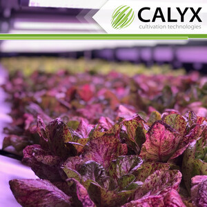 American Manufacturer Presents AI Patented Technology for Indoor Farming