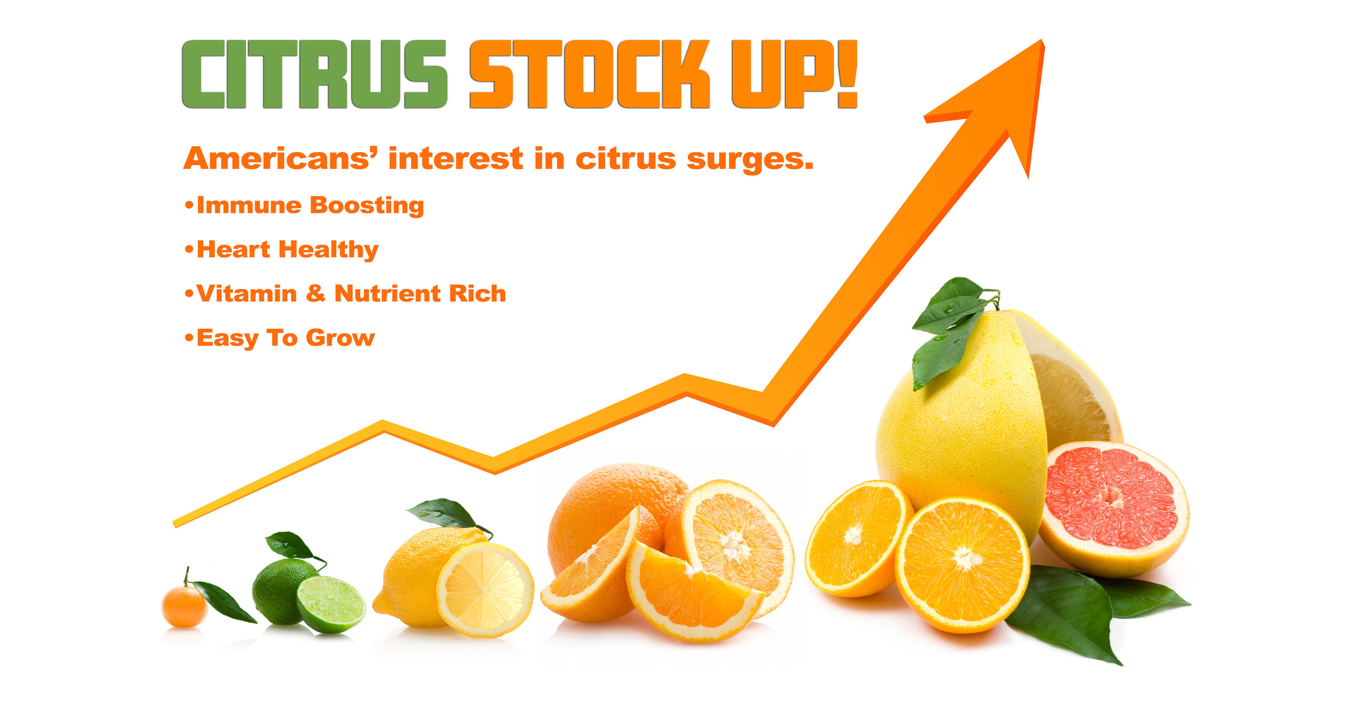Interest In Citrus Tree Surges Due To Their Underlying Health Benefits