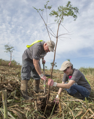 Restore the Earth Foundation tree planting and coastal restoration kick off of their project to restore 4,000 acres of freshwater-forested wetland in the Pointe-aux-Chenes Wildlife Management Area.