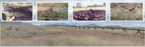 Conservation Scientists Launch Binational Effort to Document Wildlife in the Path of Trump's Border Wall