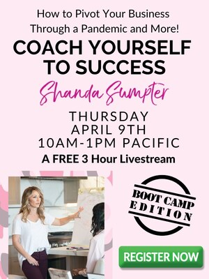 Free 3-Hour Live National Online Business Boot Camp and Free 1:1 Coaching for Entrepreneurs, Small Businesses and the Unemployed This Thursday April 9th, 10am - 1pm Pacific