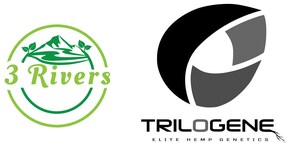 3 Rivers Biotech Enters into Agreement to Distribute Elite Hemp Varieties from Trilogene Seeds