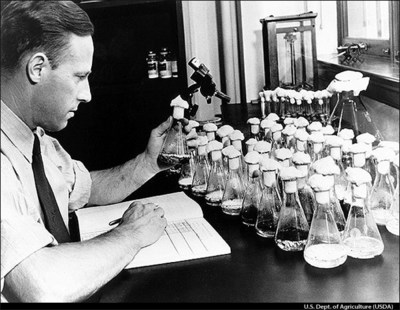 U.S. Department of Agriculture chemist Andrew J. Moyer developed an industrial process for making penicillin and other antibiotics, vitamins, drugs, and chemicals (Photo Credit: USDA)
