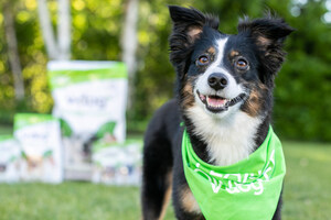 V-dog named one of 2020's top plant-based products in VegNews Veggie Awards