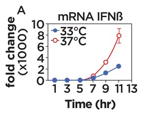 Cozy ThermoTherapy -- Extreme Times Require Extreme Comfort