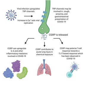 Biohaven Receives FDA May Proceed Letter to Begin Phase 2 Trial of Intranasal Vazegepant to Treat Lung Inflammation After COVID-19 Infection