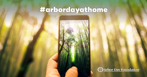 Celebrate #arbordayathome