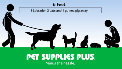 nearest pet supplies plus