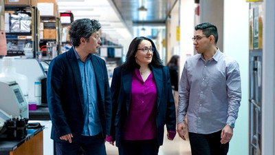 Gladstone researchers Jae Kyu Ryu, Katerina Akassoglou, and Andrew Mendiola developed a novel method to profile toxic immune cells in the brain, and used it to identify a therapeutic target for multiple sclerosis.