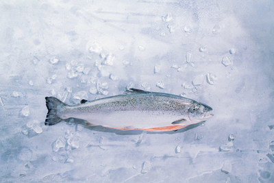 Kvaroy Arctic Atlantic Salmon whole fish. Photo Credit: Eric Wolfinger
