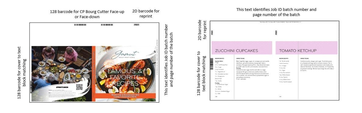 Canon Introduces Conveyance An Automated Workflow Tool To Enhance