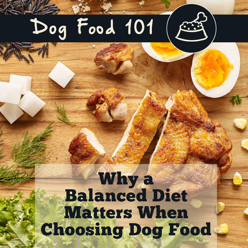 Recently published blogs include, “Debunking the Myths About Grains,” “Grain or Grain-Free: Which Food is Best for My Dog,” and, “5 Benefits of Legumes in Dog Food.” The topics stem from trending news, such as the FDA’s investigation into DCM, and repetitive questions Redbarn receives on social media or customer service calls.