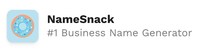 NameSnack is the #1 free business name generator