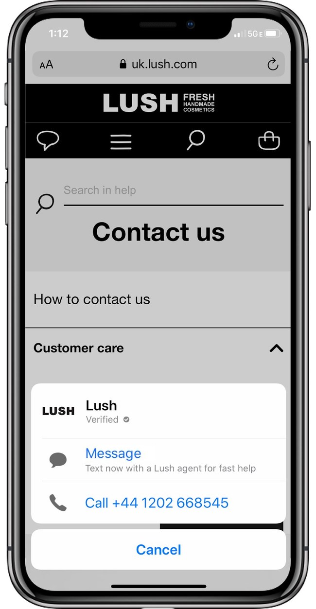 Chat Suggest on the Lush Cosmetics website allows customers to skip waiting on hold on a phone call, and be routed to Apple Business Chat to message the brand via bots and agents enabled by Conversocial.com.