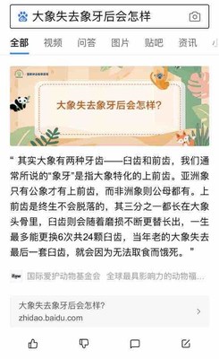 On Baidu App, in response to a user’s query about elephants losing their tusks, a Baidu Knows entry from IFAW appears as the top result. It explains the types of elephant tusks and why tusks are so important for elephants’ survival.