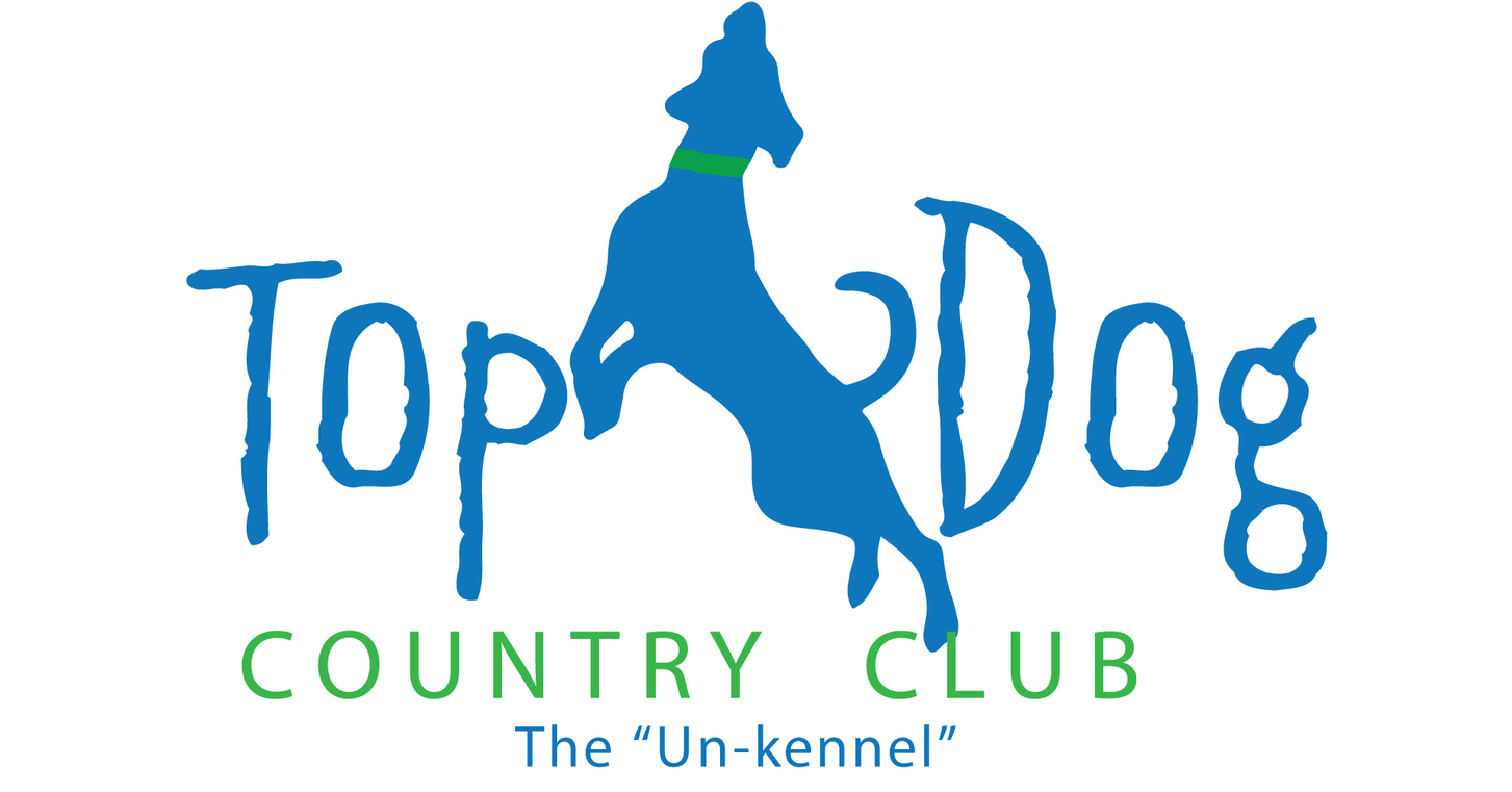 Top Dog Country Club Launches "Family Fun With Art, Music, Kids & Dogs"