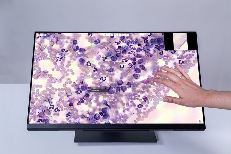 Unable to view the image, Please provide a valid URL.