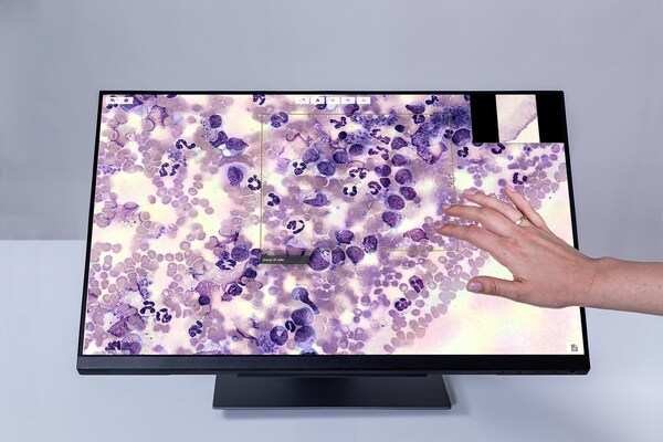 Unable to view the image, Please provide a valid URL.