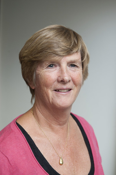 Professor Gail ter Haar, head of the Therapy Ultrasound team in the ICR’s Division of Radiotherapy and Imaging, will lead the study.