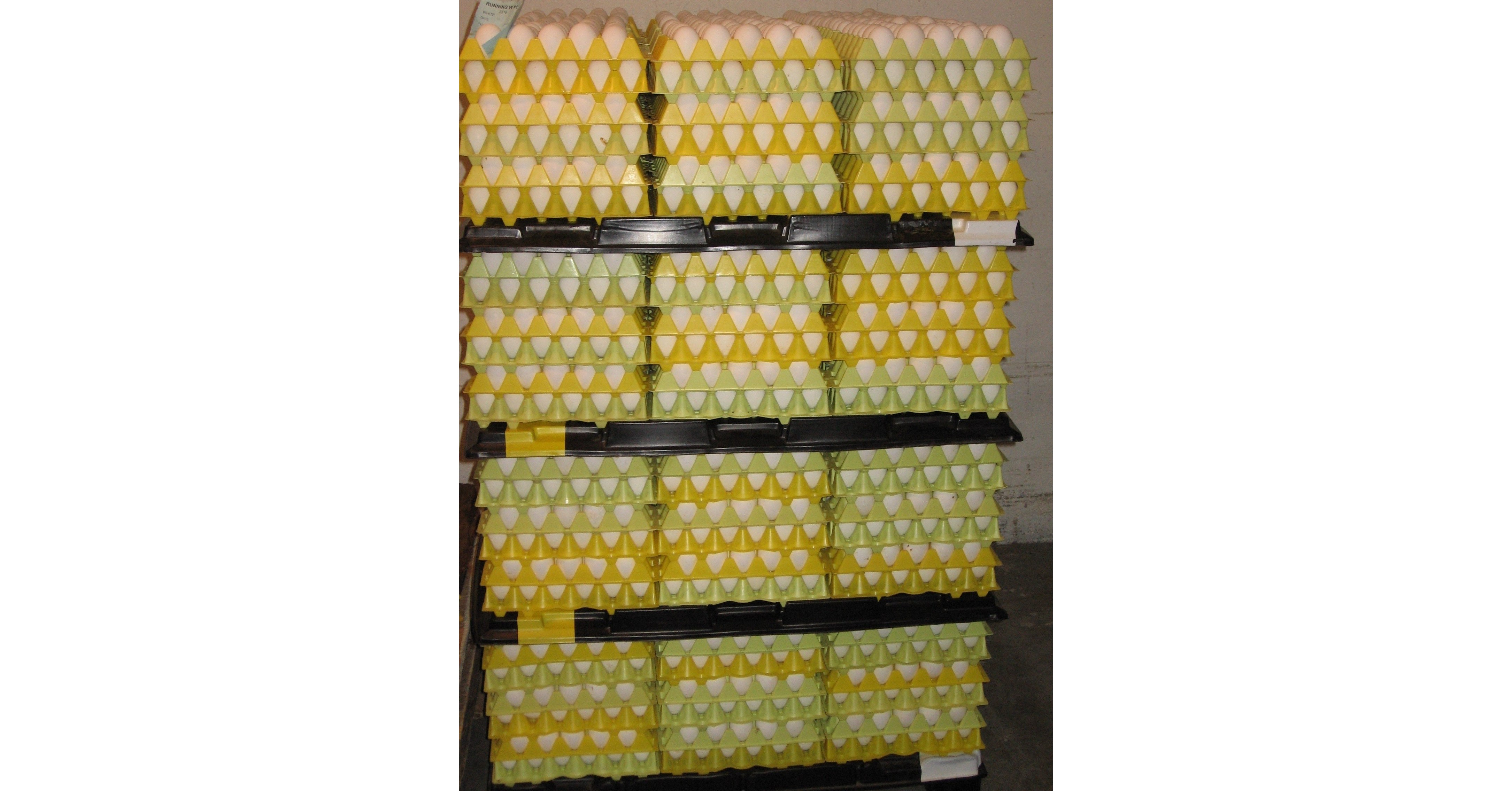 Food Banks Bc Receives Large Egg Donation