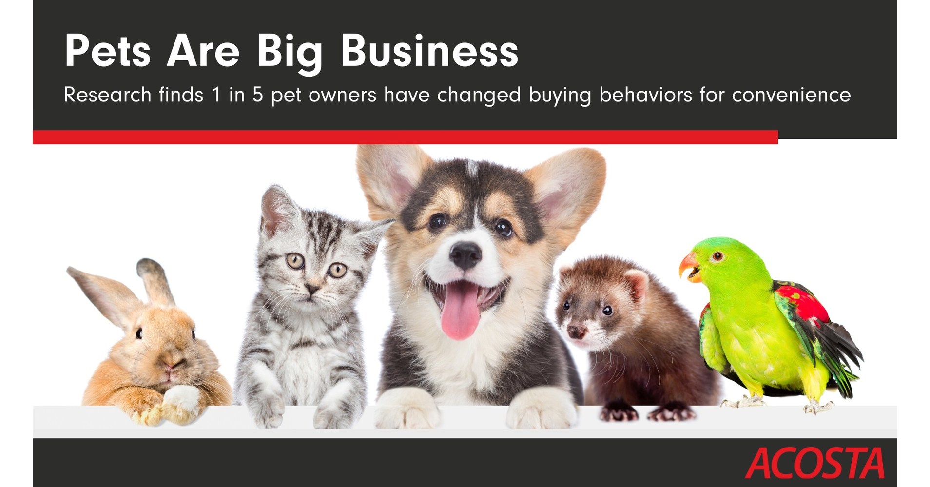 Pets Are Big Business According to New Acosta Report