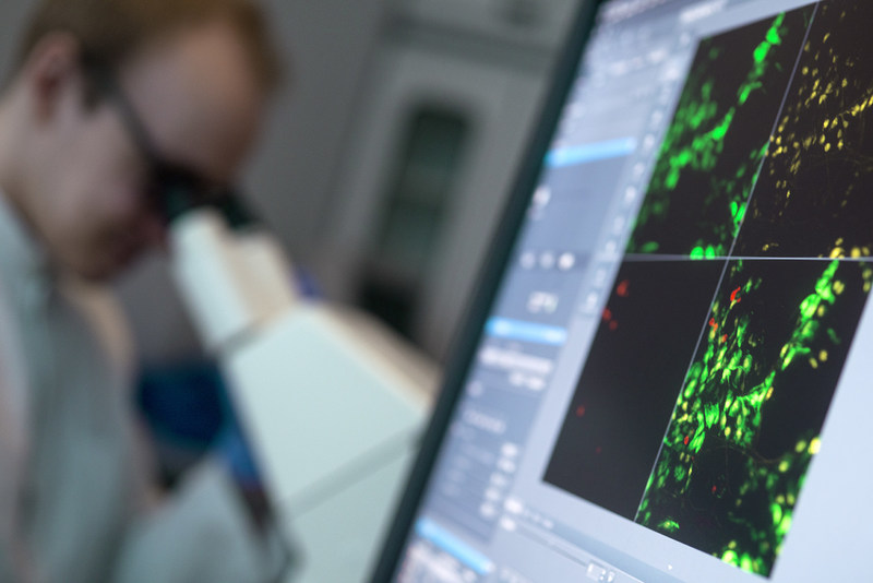 Unable to view the image, Please provide a valid URL.