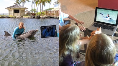 Homebound family enjoys virtual visit to Dolphin Quest an AMMPA accredited marine life park on Oahu.
