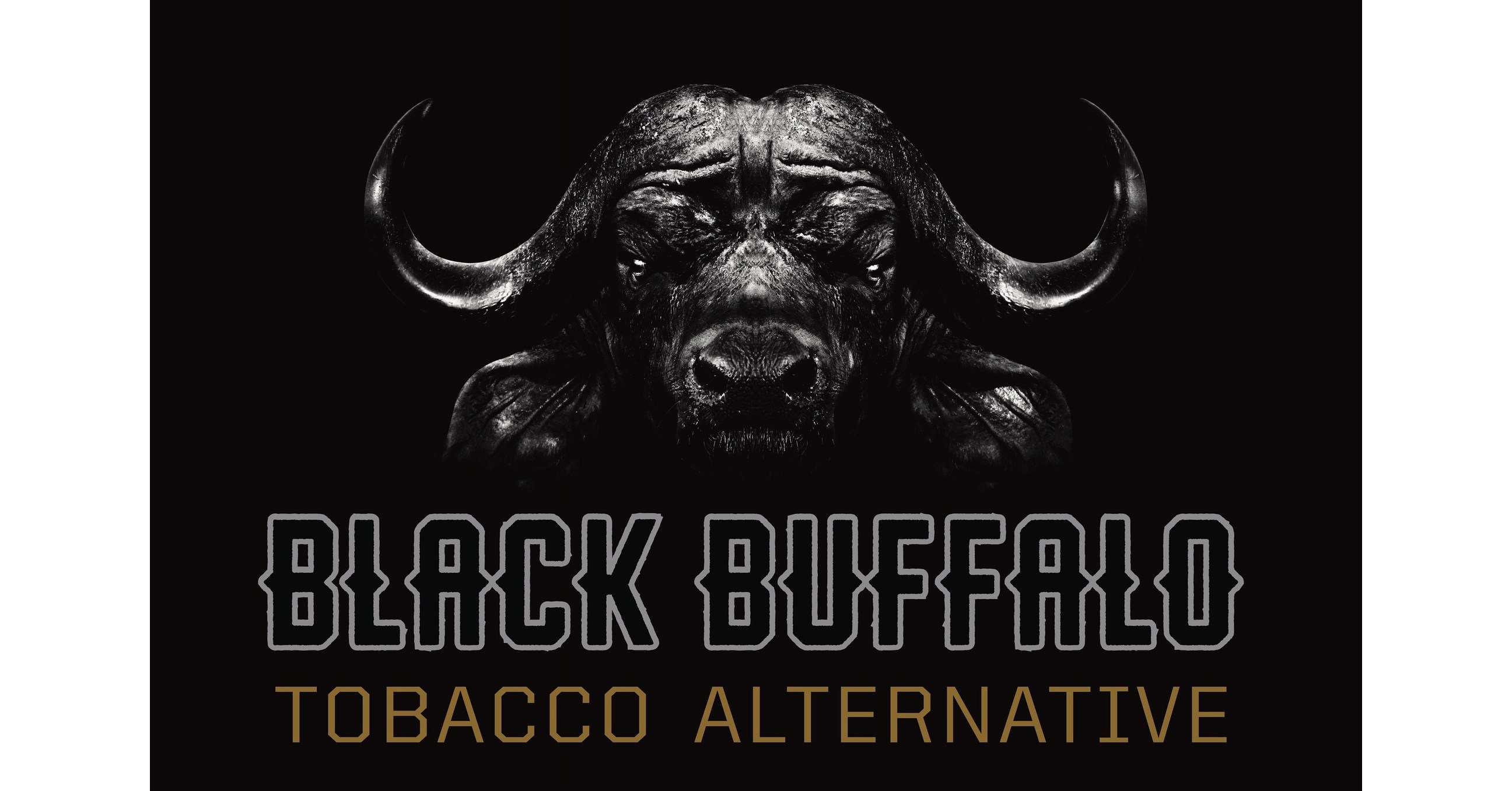 Black Buffalo  Best Chewing Tobacco Alternative To Dip Pouches