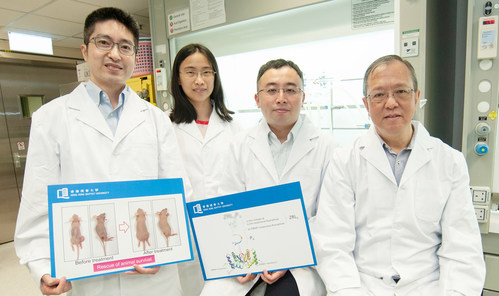(From left) Dr Lung Hong Lok, Dr Jiang Lijun, Professor Gary Wong Ka-Leung and Professor Mak Nai-Ki developed a novel drug for the treatment of EBV-related cancers such as nasopharyngeal cancer (PRNewsfoto/HKBU)