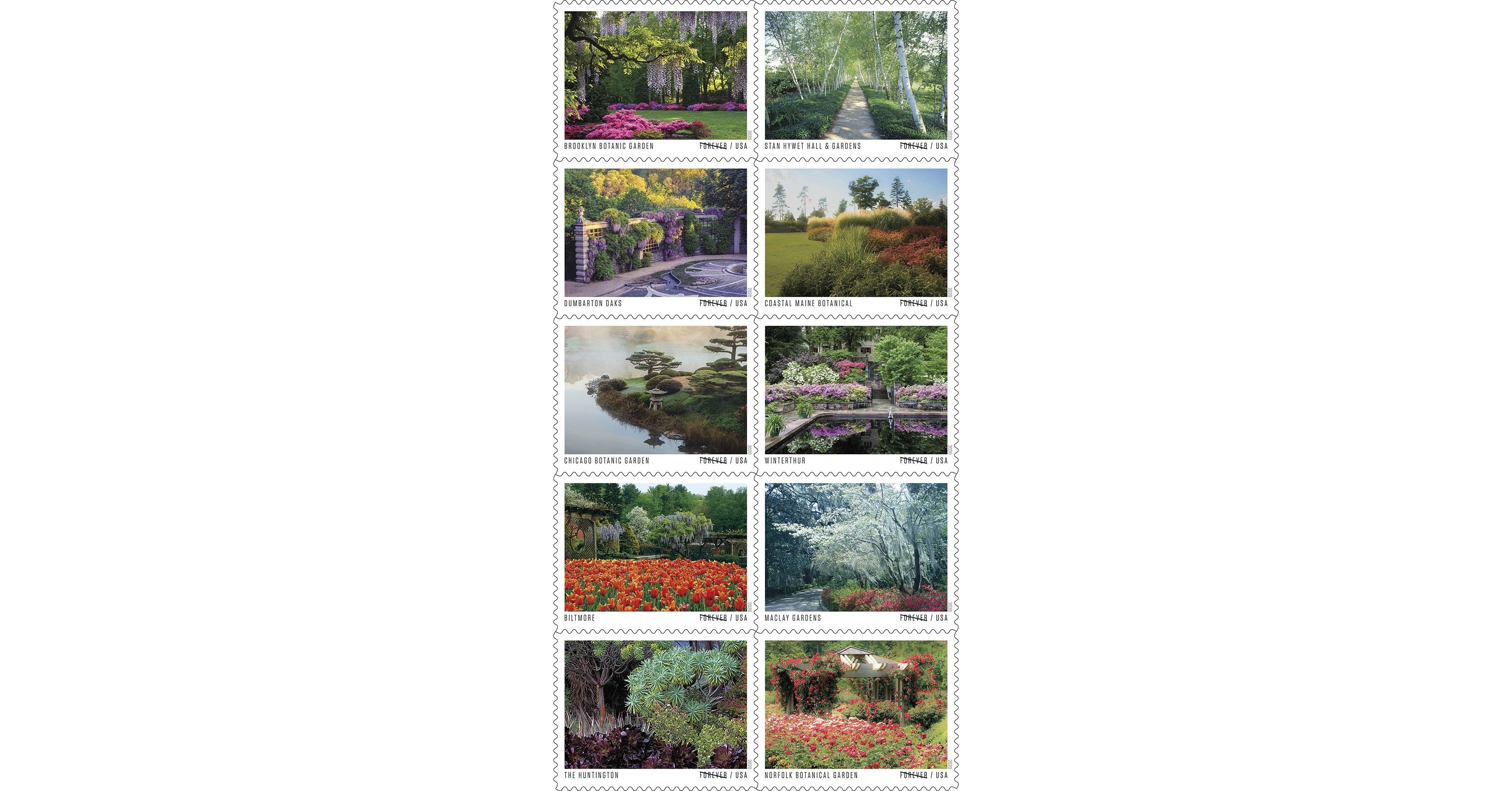 Demo winterthur corona