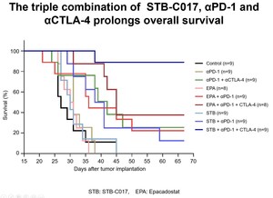 Syntekabio Presents Nonclinical Data of immuno-oncologic agent STB-C017 at the 2020 AACR meeting