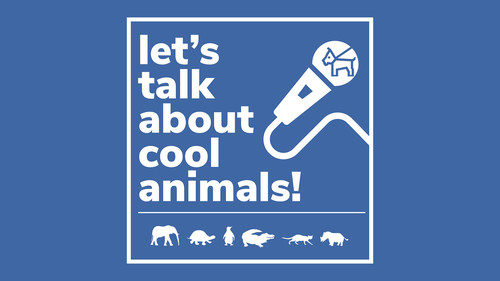 'Let's Talk About Cool Animals!' Podcast by Daniel Reitman and Mauro Carignano