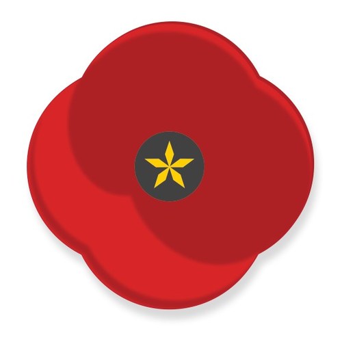 PoppyInMemory.com is a virtual destination hosted by USAA that pays tribute to military members who lost their lives in conflict, and showcases the meaning of the poppy flower as a symbol of remembrance.