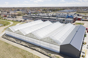 Gotham Greens Opens New Greenhouse In The Rockies