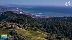 Take a Virtual Trip to California Wine Country with Zoom Backgrounds