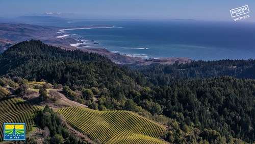 Wine Institute is offering Images from California wine regions for Zoom backdrops for meetings and virtual Happy Hours. George Rose photo courtesy Sonoma County Vintners.