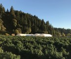 Update on Marijuana Company of America's Oregon Hemp Project