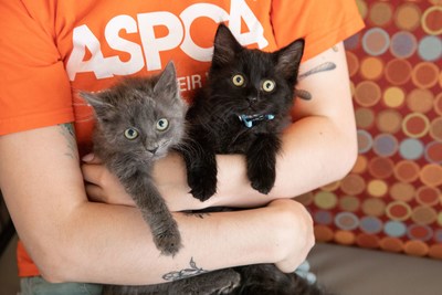 In response to the impact of the COVID-19 crisis on shelter and rescue organizations, the ASPCA has launched the ASPCA National Adoption Weekend, a nationwide adoption event taking place from Friday, June 5 to Sunday, June 7, to encourage and enable the public to safely complete minimal-exposure, contact-free cat, dog and horse adoptions from their homes.