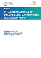 African Leaders Endorse Plan From Global Center on Adaptation for Africa to Build Climate Resilience Into Recovery From COVID-19 Pandemic