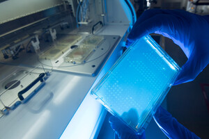 Industrial-Scale Phenotyping of Cell-Cycle Control in Yeast