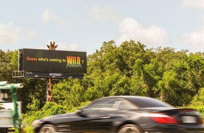 Entertainment Category: Wild Florida, Credit: Jarrod Glick