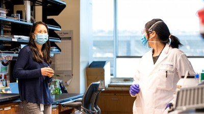 Gladstone Visiting Scientist Nadia Roan (left) and postdoctoral scholar Tongcui Ma (right) discovered how sexually transmitted HIV infects women.