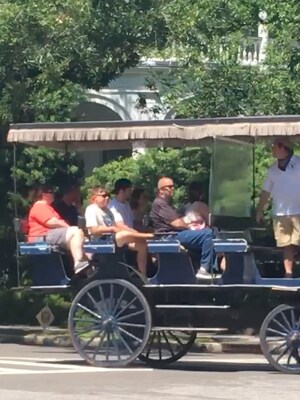 The Main Responsibility of a City is to Protect its Citizens, Says Charleston Carriage Horse Advocates