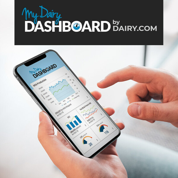 my dairy dashboard