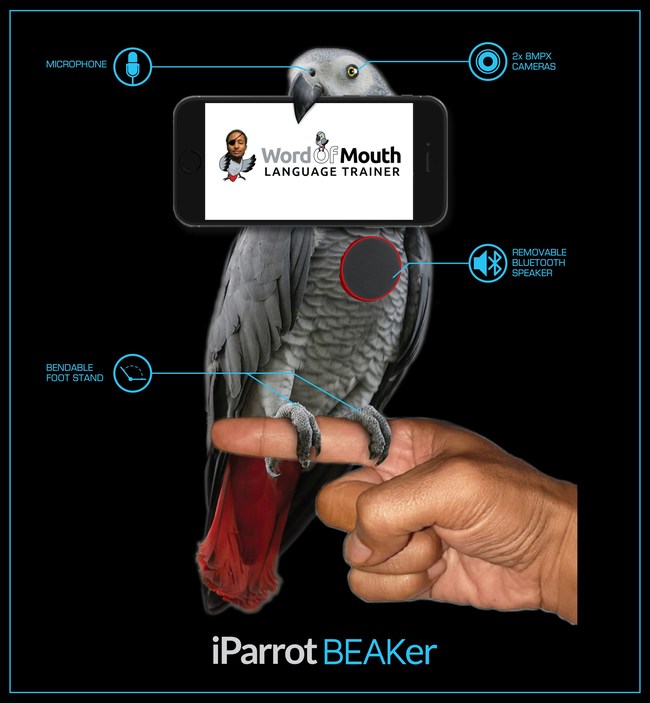 Learn to Move Your Lips for Better Pronunciation to 'Parrot' Native